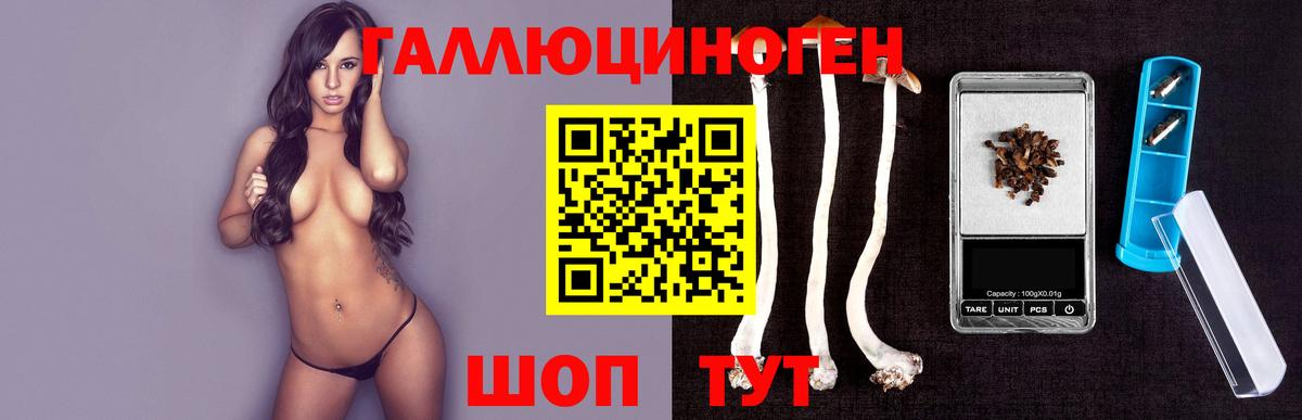 Псилоцибиновые грибы GOLDEN TEACHER  Вход с VPN  хочу   Шебекино  Псилоцибиновые грибы GOLDEN TEACHER 