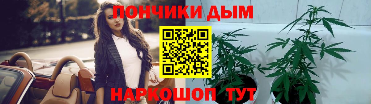 Бошки Шишки ГИДРОПОН  Шишки марихуана VHQ  Шебекино  Вход с VPN  Шишки марихуана сатива 